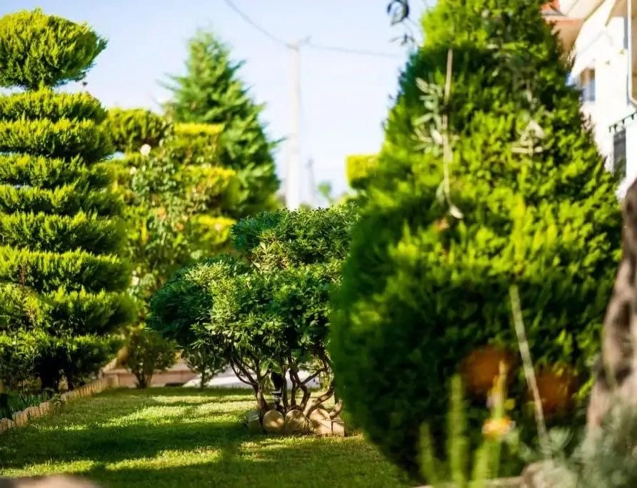 Villa Mandani Outdoor 4