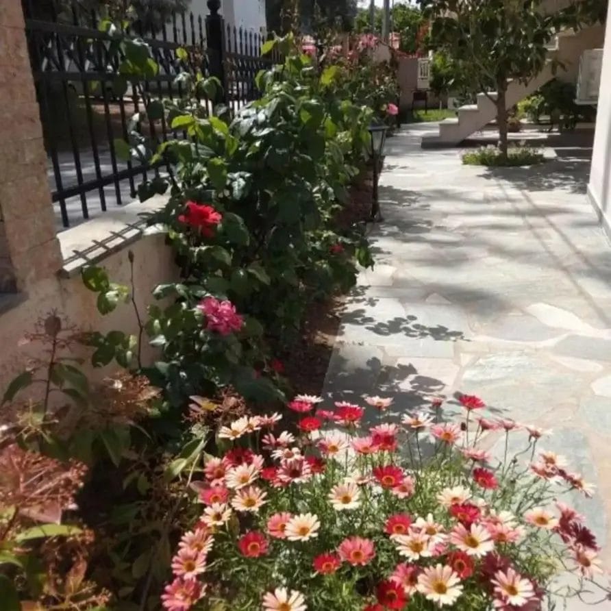 My Home Apartments 2