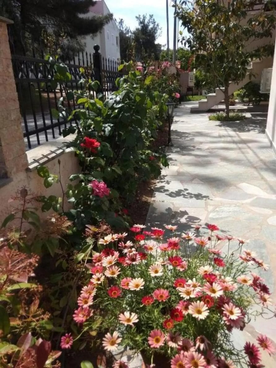 My Home Apartments 2