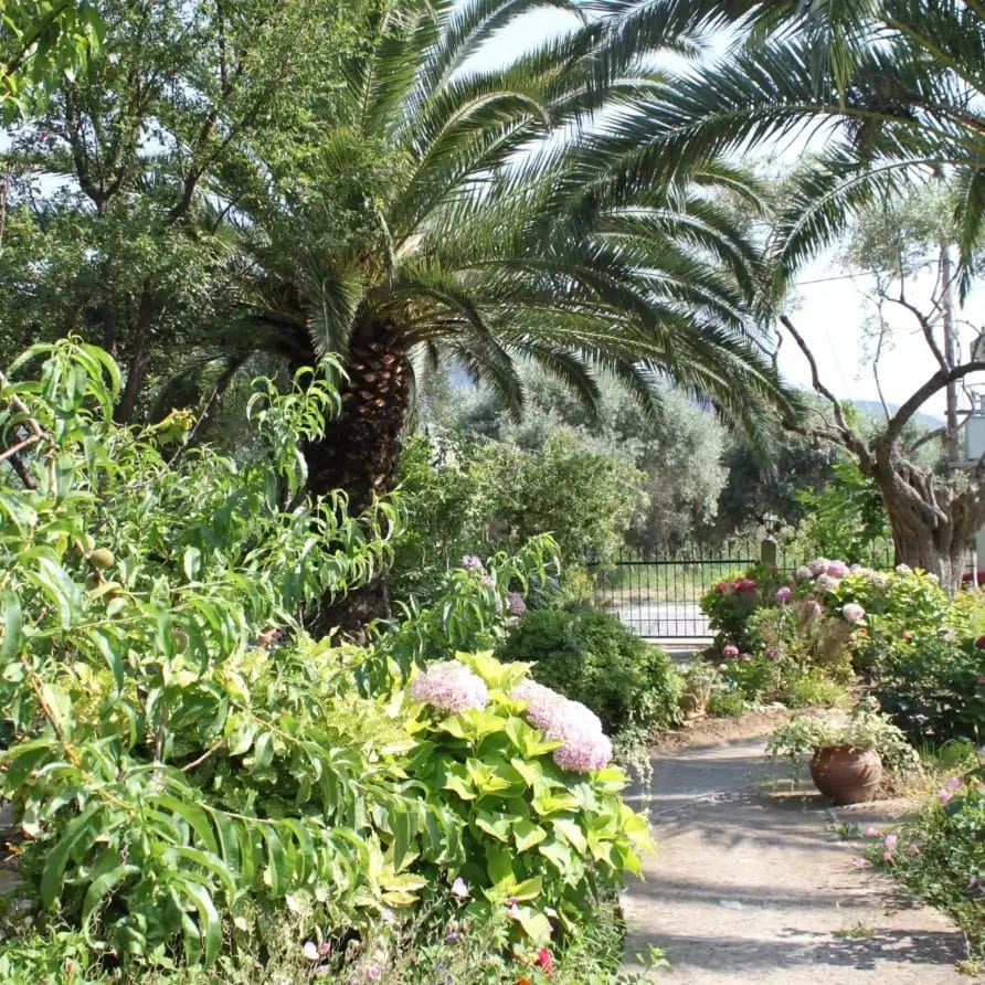 Stella Melida Ootdoor 1