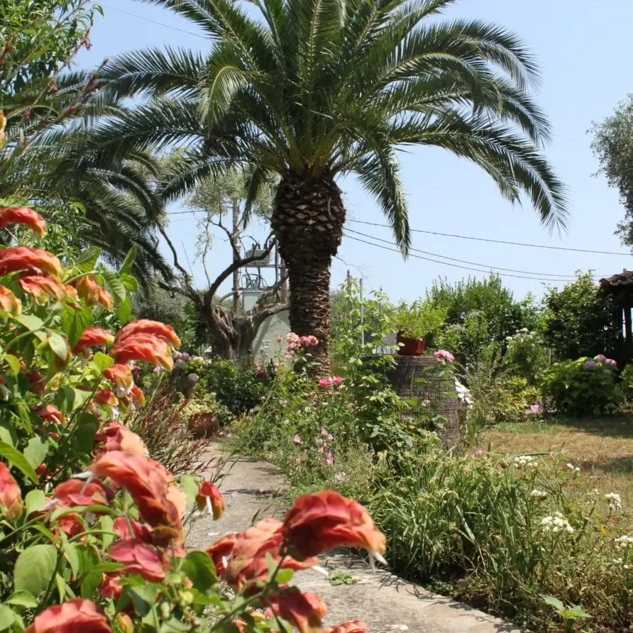 Stella Melida Ootdoor 14