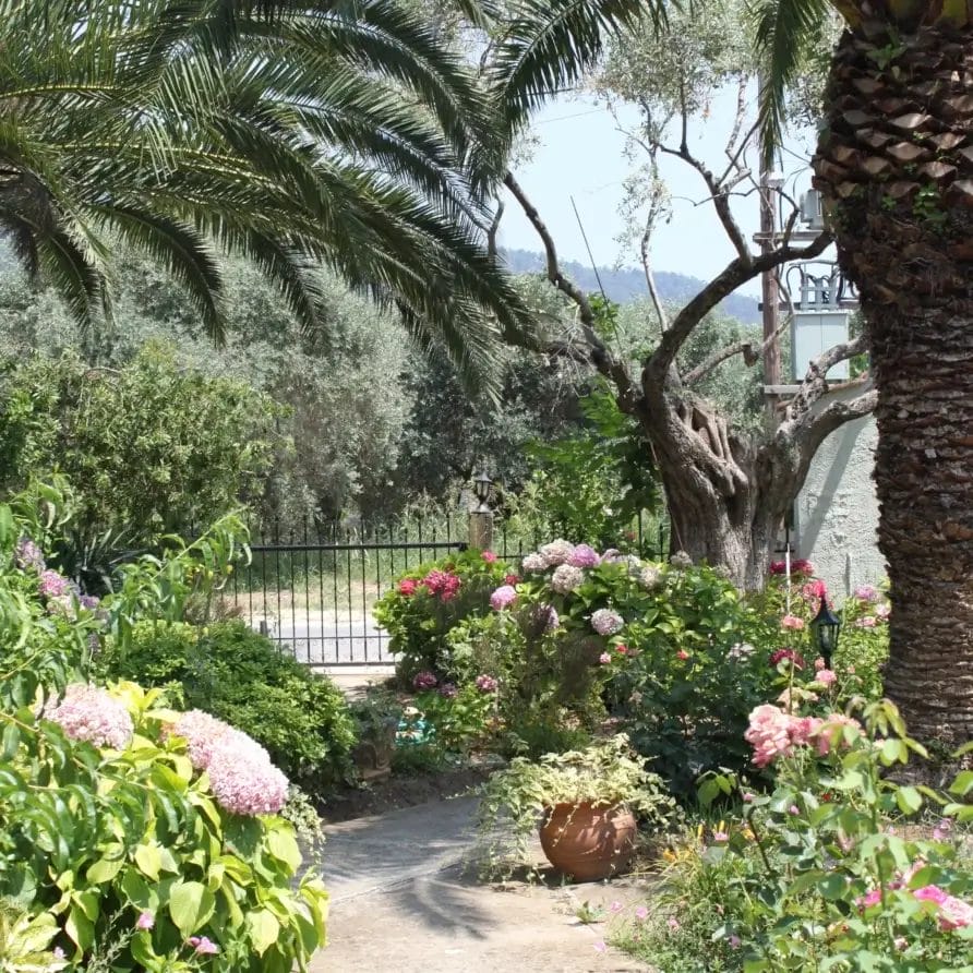 Stella Melida Ootdoor 16