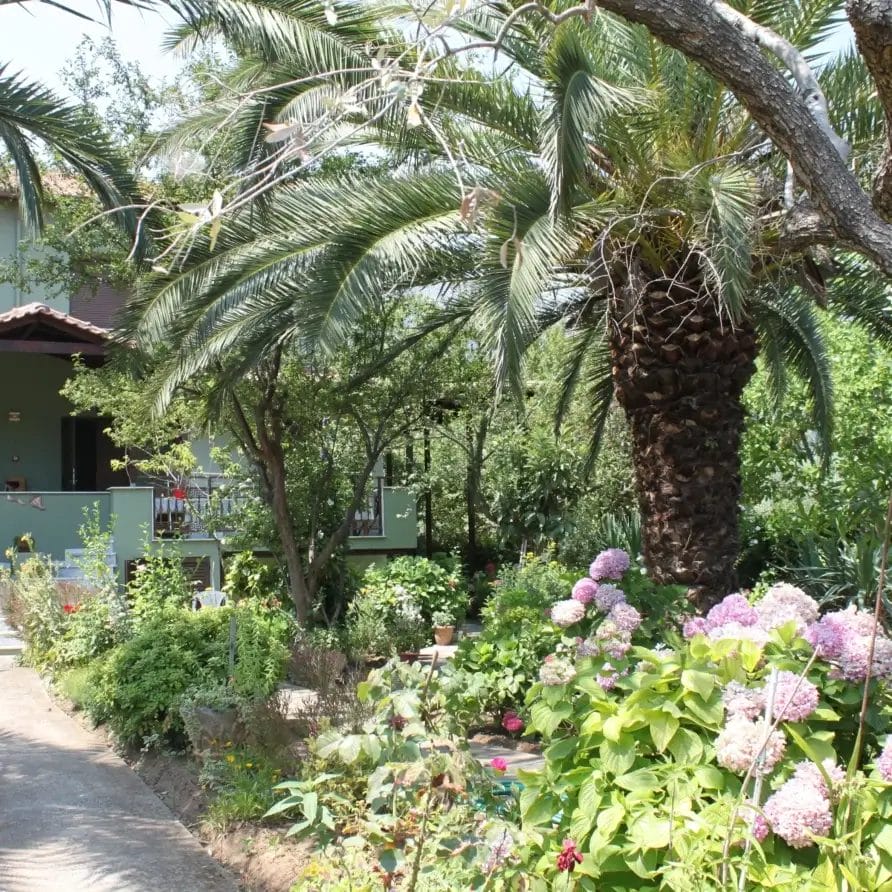 Stella Melida Ootdoor 17