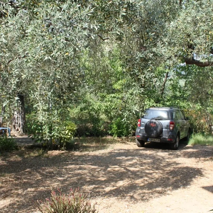 Stella Melida Ootdoor 2