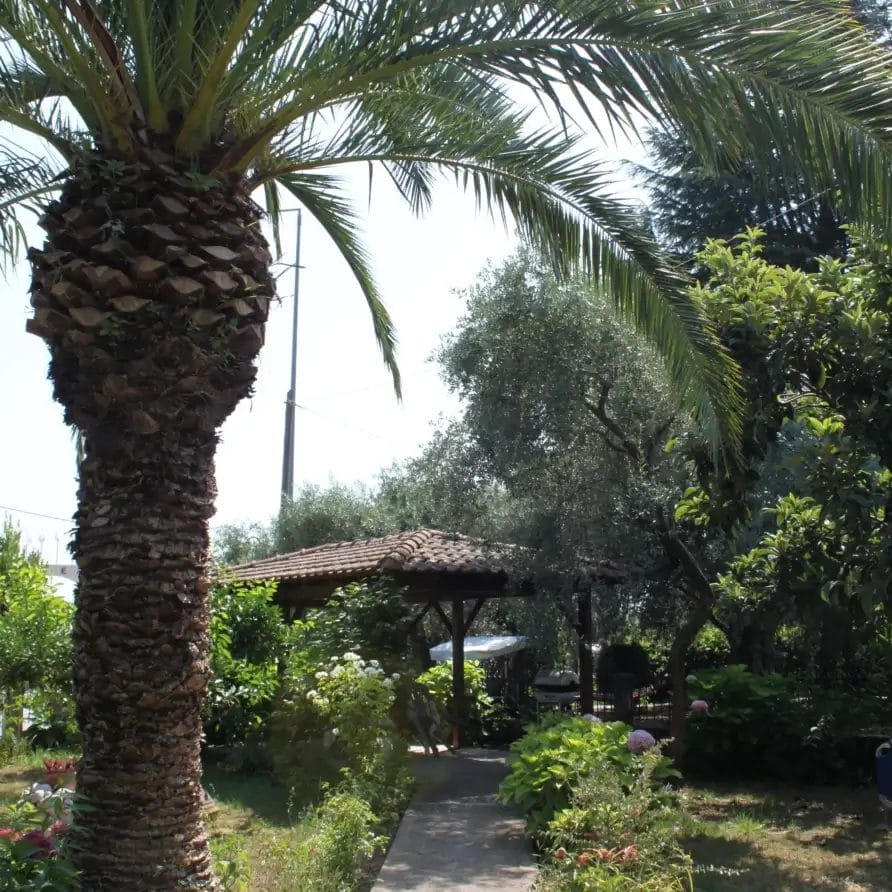 Stella Melida Ootdoor 9