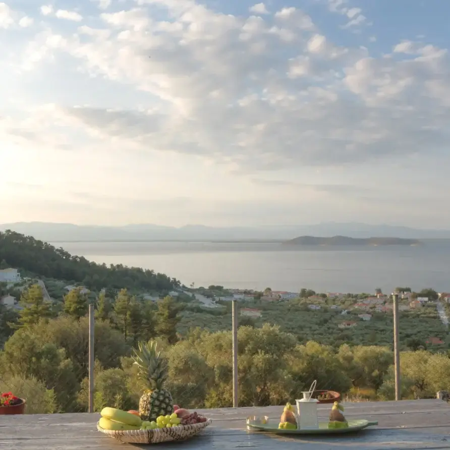 AGRAFA - Limenas - Stone house 12